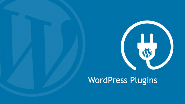 word press plugin - web 30-پرکاربردترین افزونه وردپرس